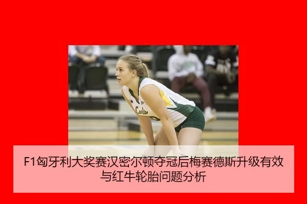 xiong-ya-li-da-jiang-sai-han-mi-er-dun-duo-guan-hou-mei-sai-de-si-sheng-ji-you-xiao-yu-hong-niu-lun-tai-wen-ti-fen-xi-2-771.jpg